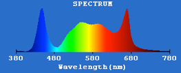 Full%20spectrum